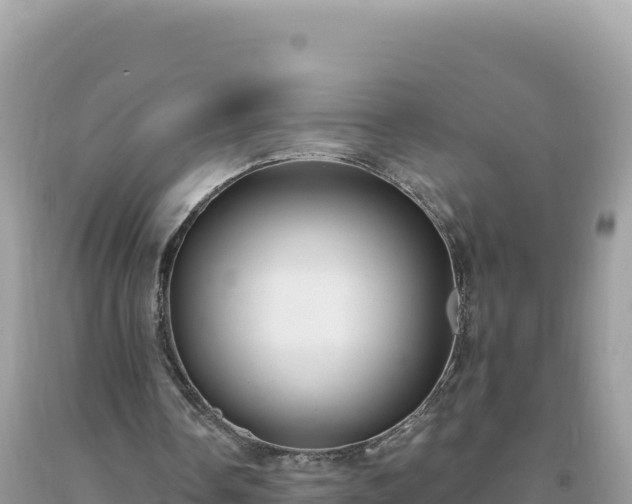 X0000093740338200710231216