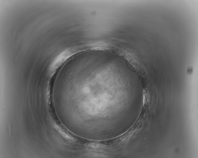 X0000093740339200710231216