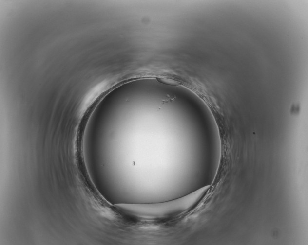 X0000093740340200710231216