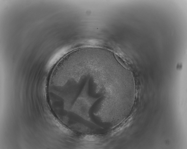 X0000093740341200710231216