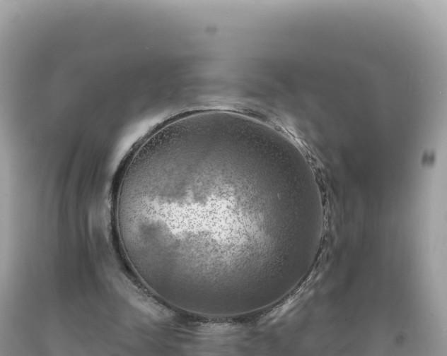 X0000093740342200710231216