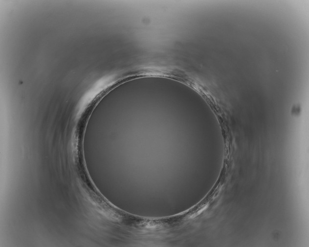 X0000093740343200710231216