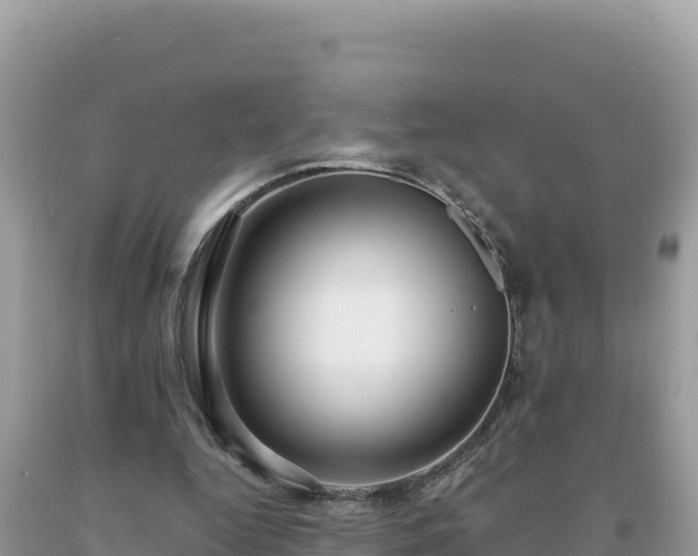 X0000093740344200710231216