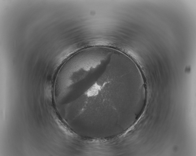 X0000093740345200710231216