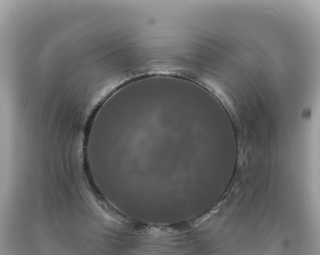 X0000093740346200710231216