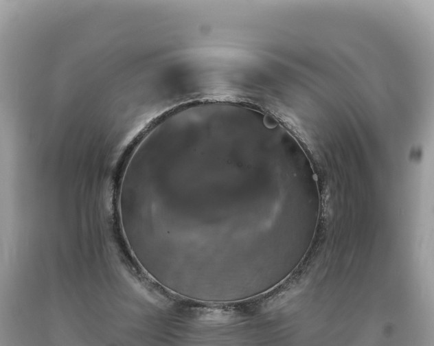 X0000093740347200710231216