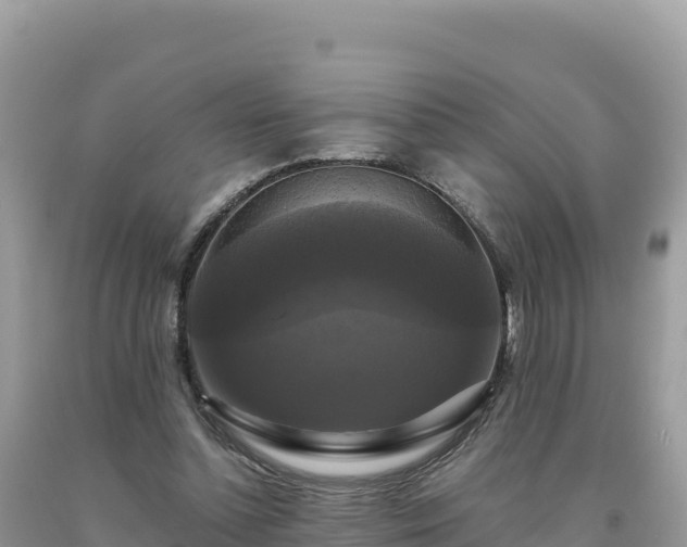 X0000093740348200710231216