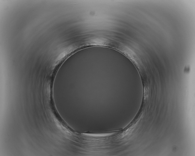 X0000093740349200710231216