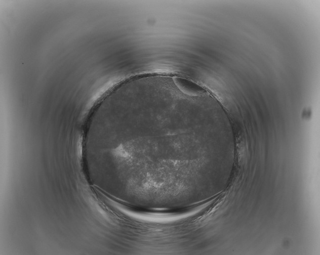 X0000093740350200710231216