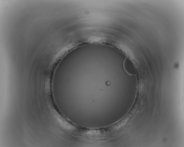 X0000093740353200710231216