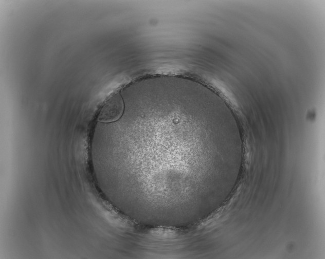 X0000093740354200710231216