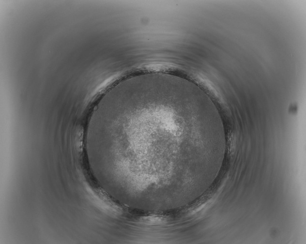 X0000093740356200710231216