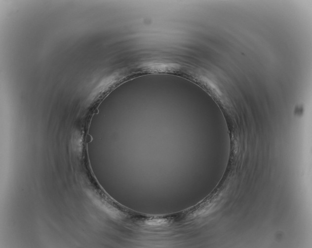 X0000093740357200710231216