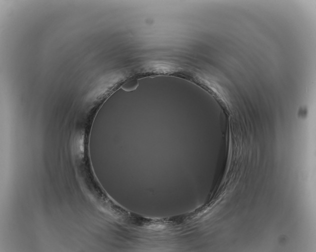 X0000093740358200710231216