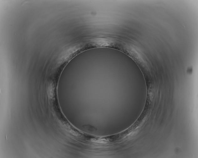 X0000093740359200710231216