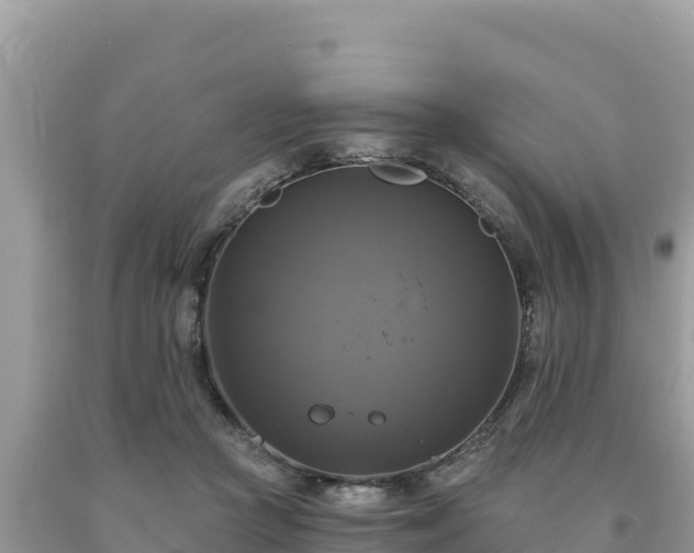 X0000093740361200710231216