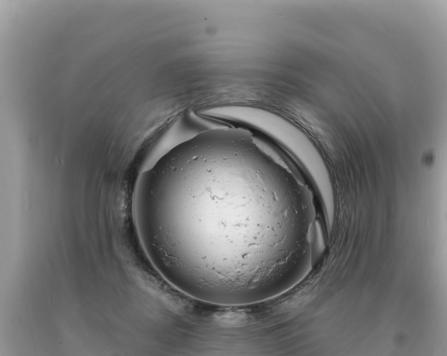 X0000093740362200710231216