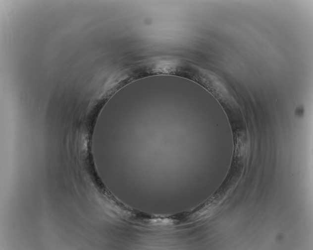 X0000093740363200710231216