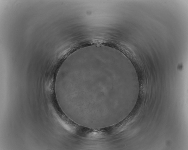 X0000093740364200710231216