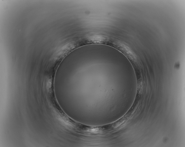 X0000093740365200710231216