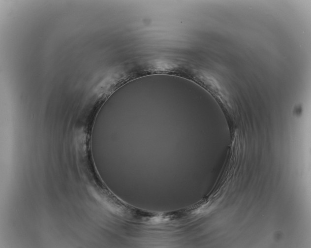 X0000093740366200710231216