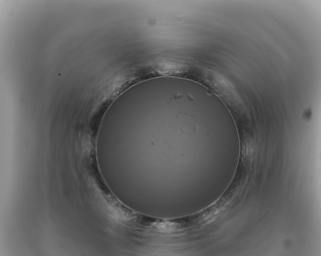 X0000093740367200710231216