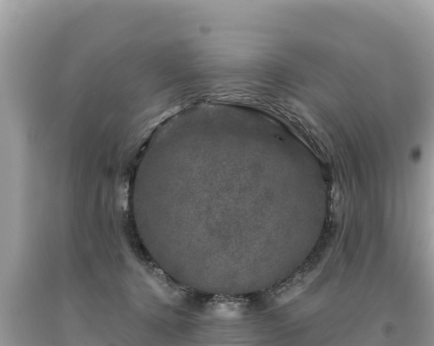 X0000093740368200710231216