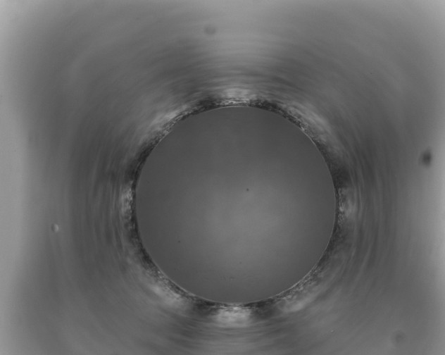 X0000093740369200710231216