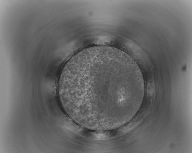 X0000093740370200710231216