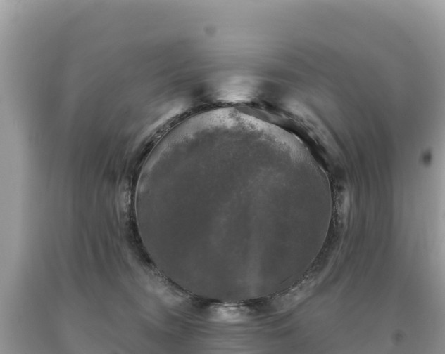 X0000093740372200710231216