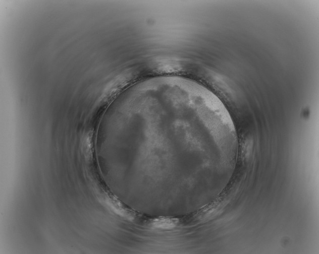 X0000093740373200710231216