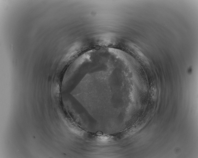 X0000093740375200710231216