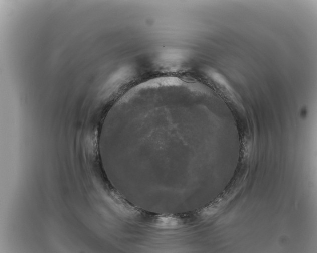 X0000093740376200710231216