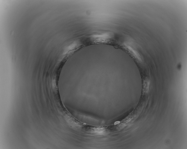 X0000093740377200710231216