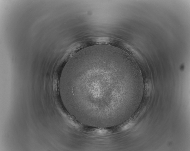 X0000093740379200710231216