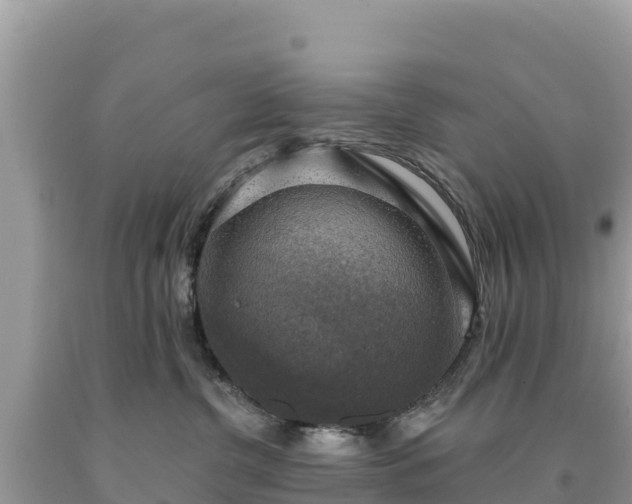 X0000093740380200710231216