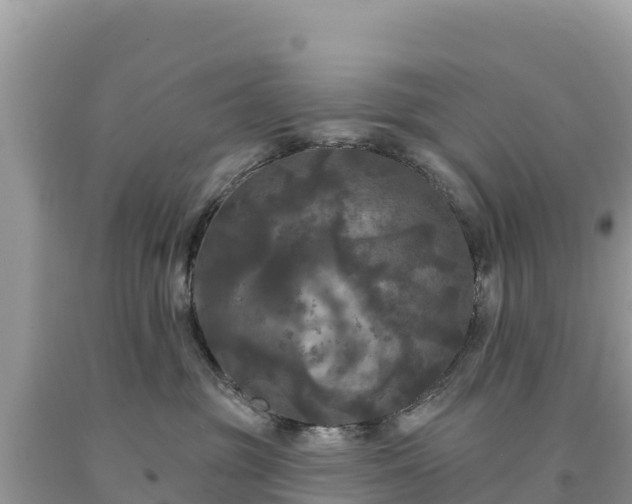 X0000093740381200710231216