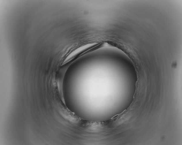 X0000093740384200710231216