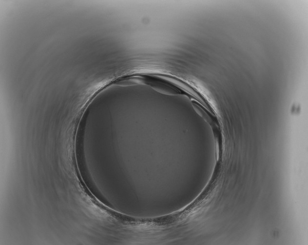 X0000093740385200710231216