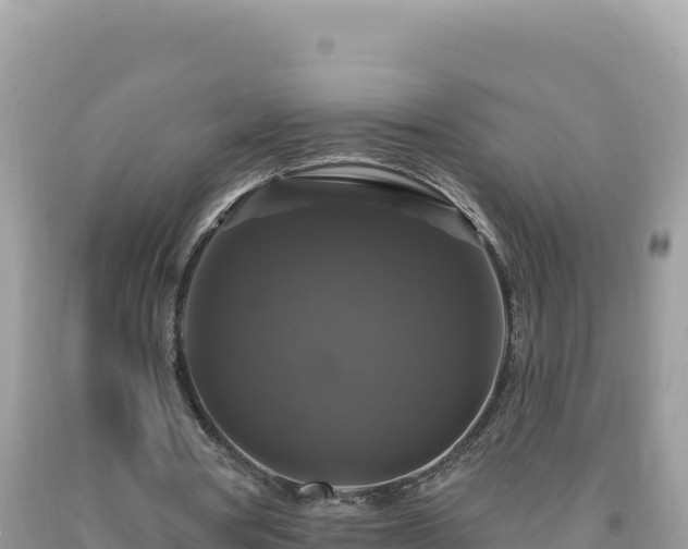 X0000093740386200710231216