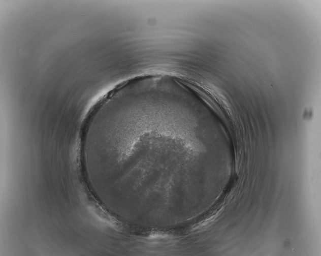 X0000093740388200710231216