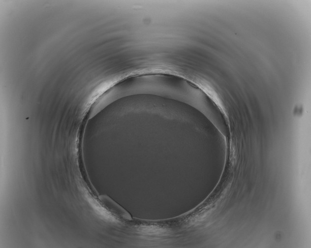 X0000093740389200710231216