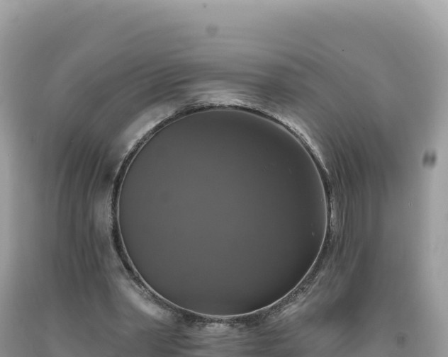 X0000093740390200710231216