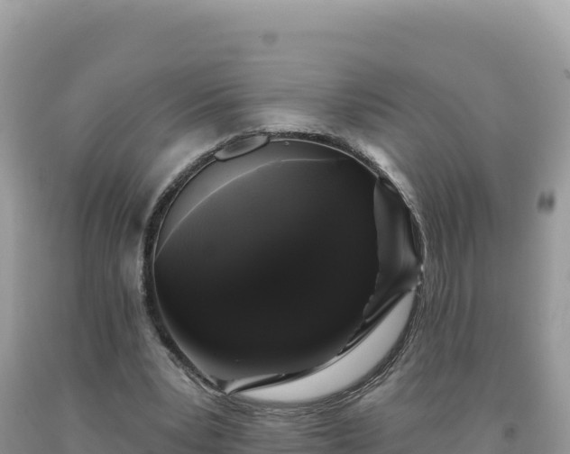 X0000093740391200710231216