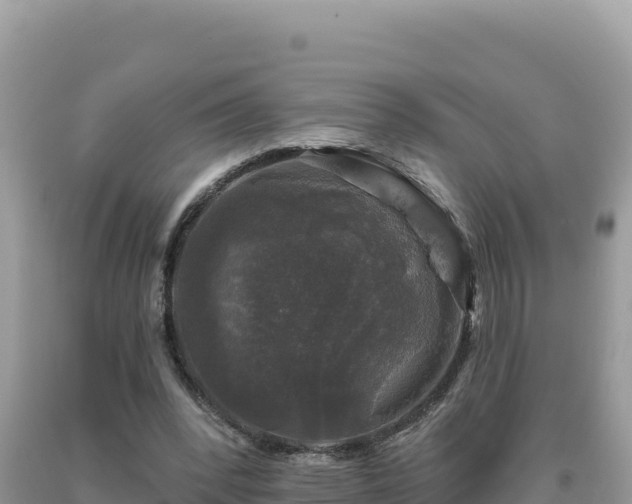 X0000093740392200710231216