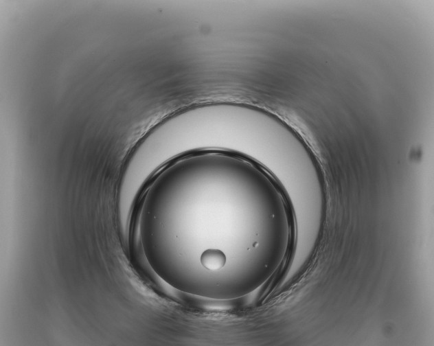 X0000093740393200710231216