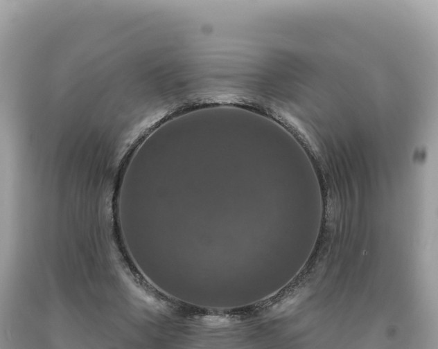 X0000093740394200710231216