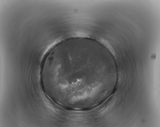 X0000093740395200710231216