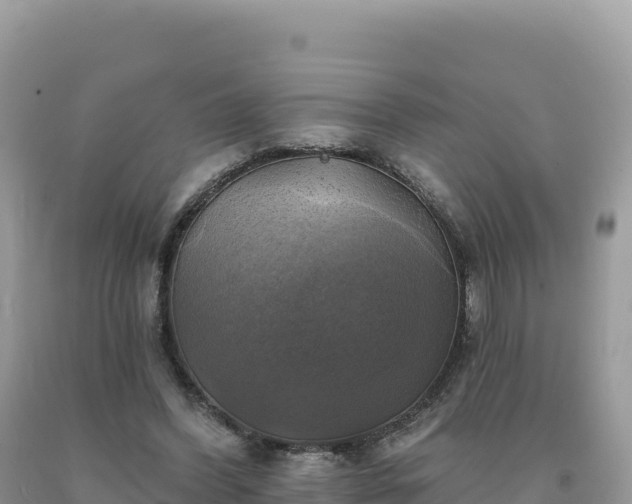 X0000093740396200710231216