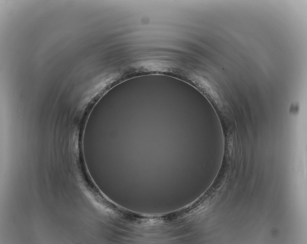 X0000093740398200710231216